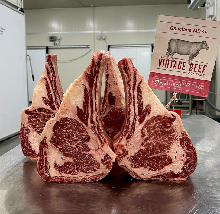 Vintage Galiciana OP Ribs MS3+