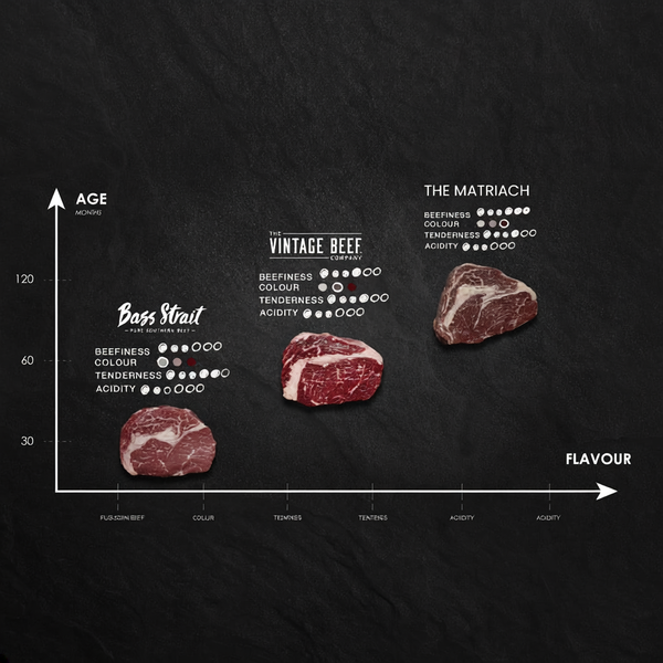 The Ribeye Steak Experience Bundle